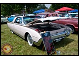 IMG_0020