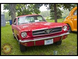 IMG_0146